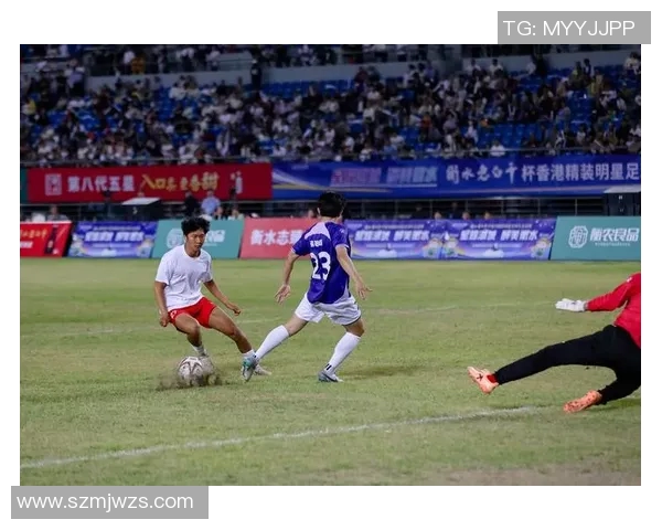 足球明星在韩国的影响力与社会地位分析及其对青少年文化的启示